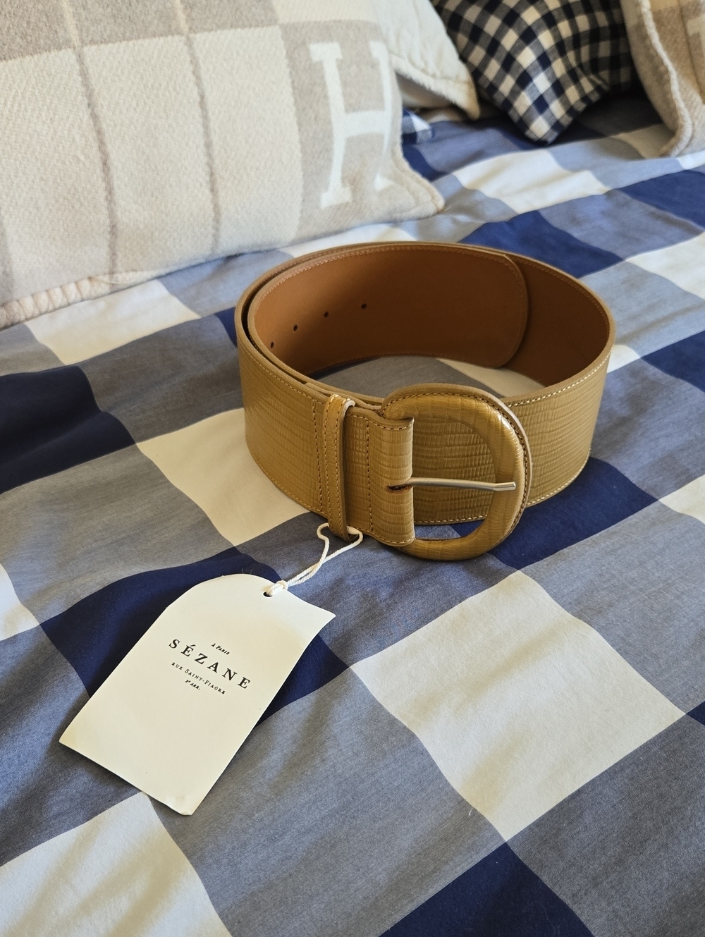Sezane Masha Wide Tan Lizard-Texture Belt with Round Buckle, VGUC, Paris Chic